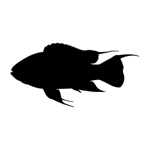 Black Fish Silhouette Vector Graphic