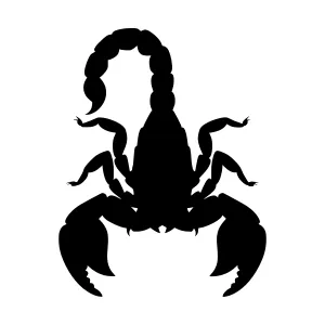Black Scorpion Silhouette Vector Graphic