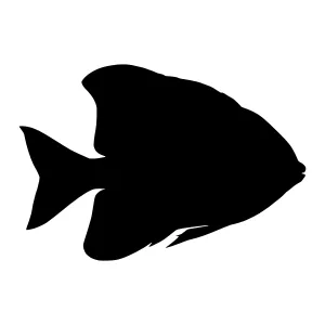 Black Fish Silhouette Vector Illustration
