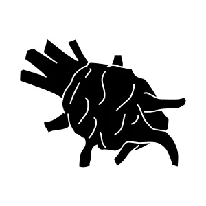 Black Heart Silhouette Icon