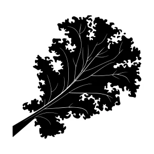 Black Silhouette Leaf Illustration