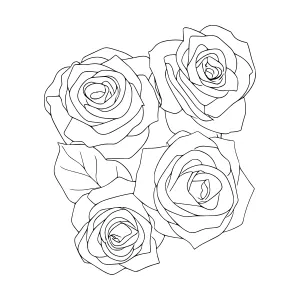 Black Rose Illustration - Line Art Floral Design