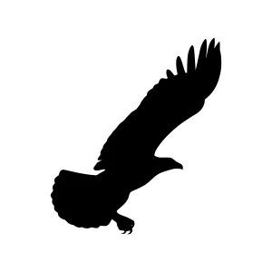 Black Eagle Silhouette Flying