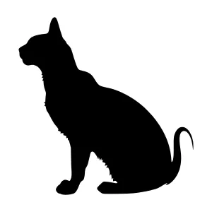 Black Cat Silhouette - Minimalist Vector Graphic