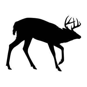 Silhouette Deer Graphic - Black Animal Vector