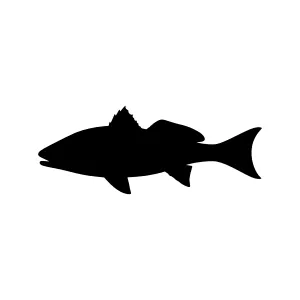 Black Fish Silhouette Vector Graphic