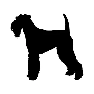 Wirehaired Terrier Silhouette