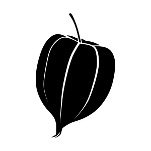 Black Ginkgo Fruit Silhouette Vector Illustration