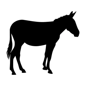 Black Donkey Silhouette Vector Illustration