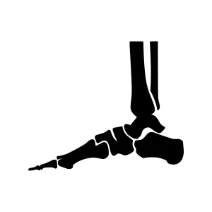 Black Foot Ankle Silhouette Vector Illustration