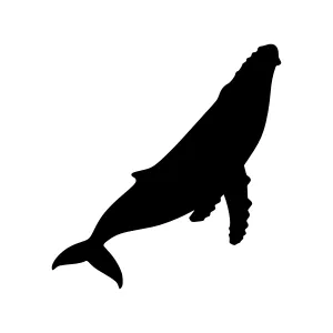 Silhouette Whale Vector Graphic