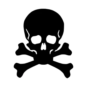 Black Skull and Crossbones Silhouette