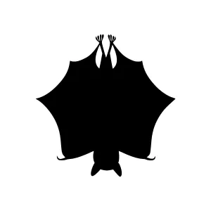 Black Bat Silhouette Icon - Vector Graphic