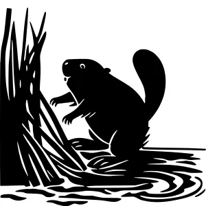 Black Silhouette Beaver in Wetland