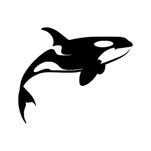 Silhouette Orca Whale Vector Graphic