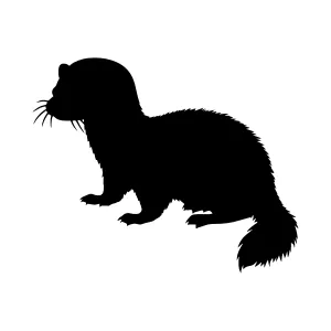 Silhouette Ferret Vector Graphic