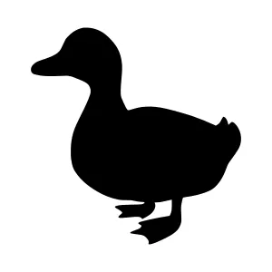 Duck Silhouette Vector Illustration