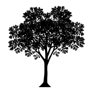 Silhouette Tree Vector Graphic