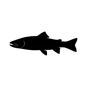 Silhouette Fish Graphic - Simple Vector Icon
