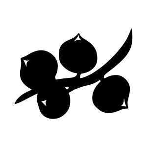 Black Berry Branch Silhouette Vector