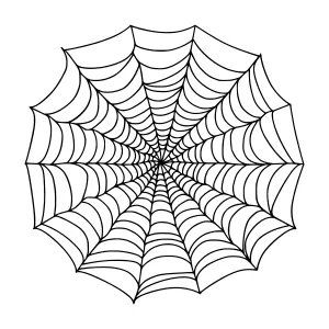 Black & White Spider Web Vector Graphic