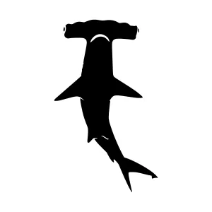 Hammerhead Shark Silhouette Vector