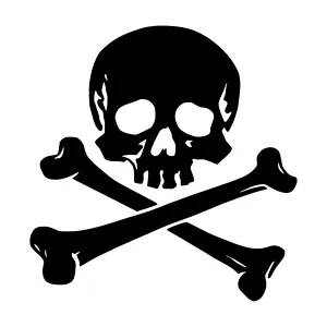 Skull & Crossed Bones Graphic Icon