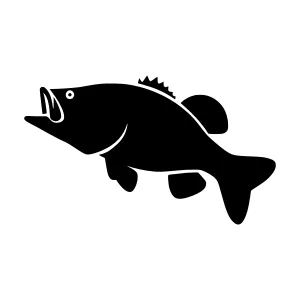 Black Bass Fish Silhouette Vector Icon