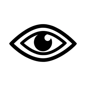Black Eye Icon - Vector Illustration