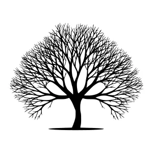 Black Tree Silhouette Outline Vector