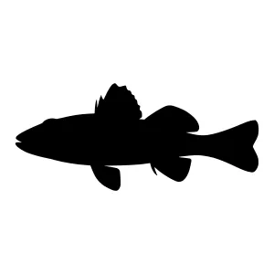 Black Fish Silhouette Vector Graphic