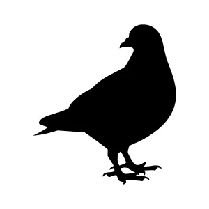 Silhouette Pigeon Vector Graphic