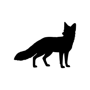 Silhouetted Wolf Silhouette Vector Graphic