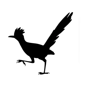 Silhouette Roadrunner Vector Graphic