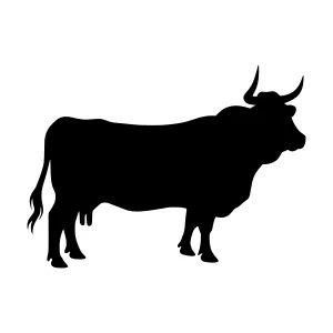 Black Cow Silhouette Vector Illustration