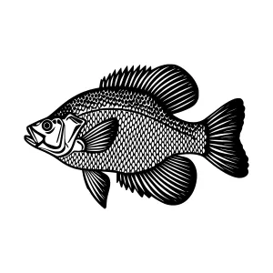 Black & White Fish Silhouette Vector Illustration