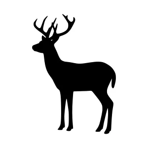 Silhouette Deer Graphic - Black Animal Icon