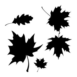 Black Silhouette Leaves - Autumn Design Elements