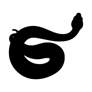 Black Snake Silhouette Vector Graphic