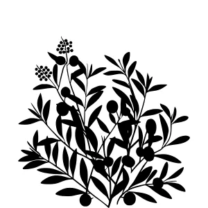 Black Botanical Silhouette Illustration