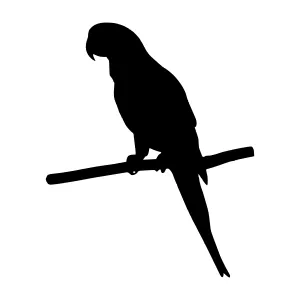 Parrot Silhouette - Black on White