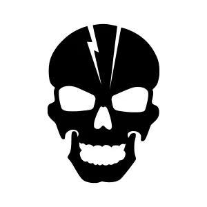 Black Skull Graphic - Cracked Design