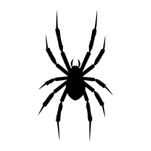 Black Spider Silhouette Vector Icon