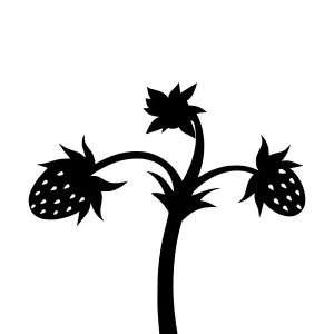 Black Strawberry Plant Silhouette Vector