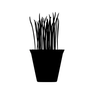 Silhouette Grass in Pot - Minimalist Plant Design