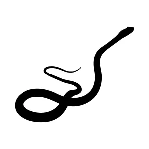 Abstract Snake Silhouette Vector Graphic