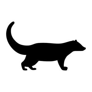 Black Badger Silhouette Vector Illustration