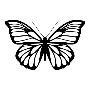 Black Butterfly Silhouette Vector Illustration