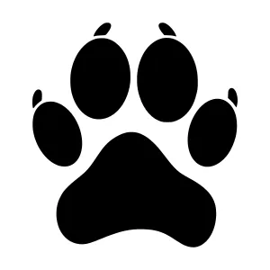 Black Paw Print Icon - Vector Graphic