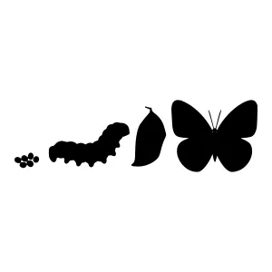 Butterfly Life Cycle Silhouette